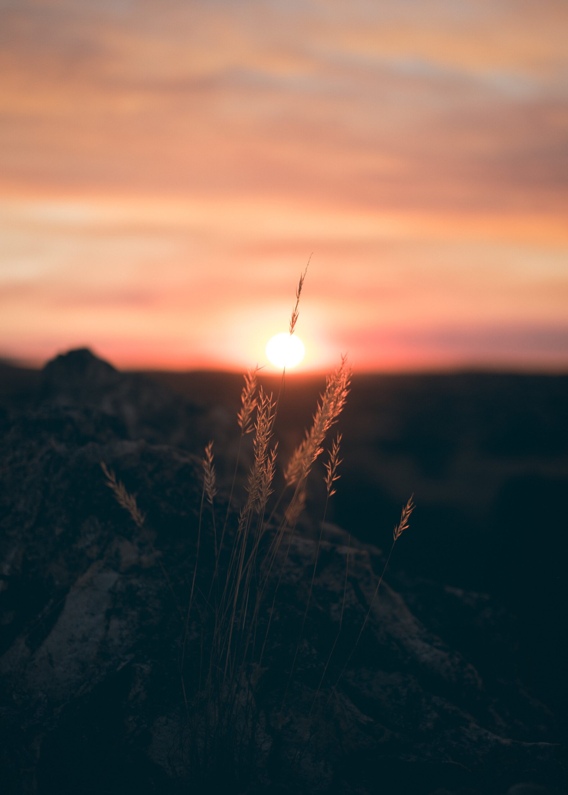Lever de soleil dans la nature, symbole de bien-être naturel
